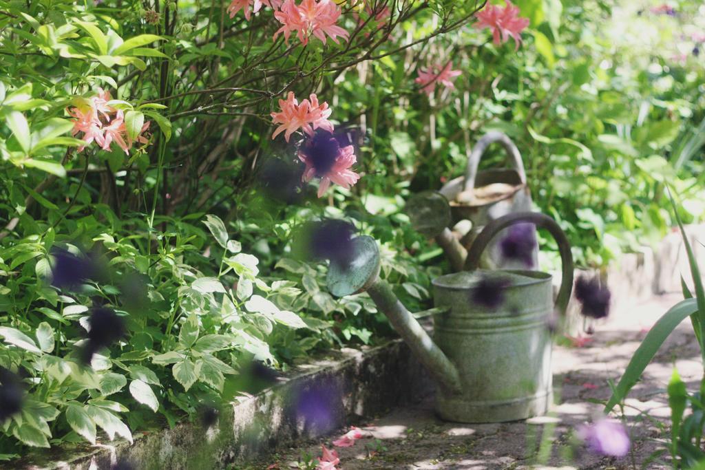 Le Bonheur à la Campagne Lesmont Exterior foto